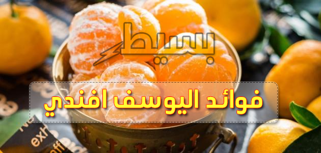 فوائد اليوسف افندي وقيمته الغدائية!