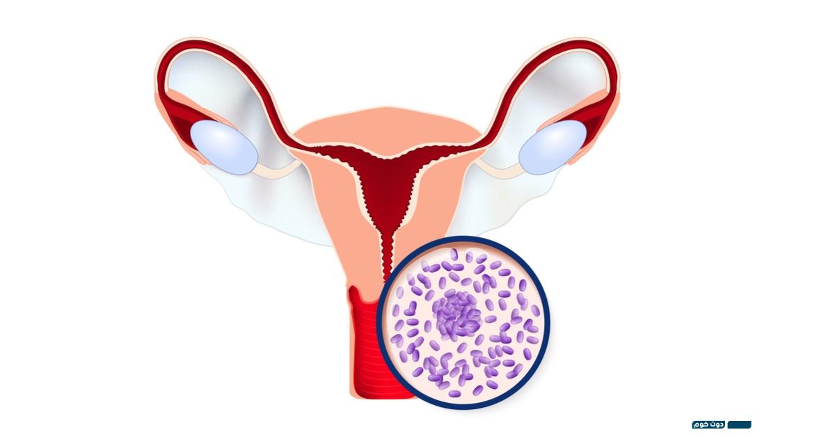 تحميل روبلوكس 5 الافرازات المهبلية