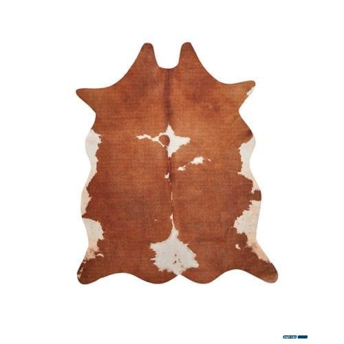 تشخيص التوحد 1 الافرازات البنية في الدورة