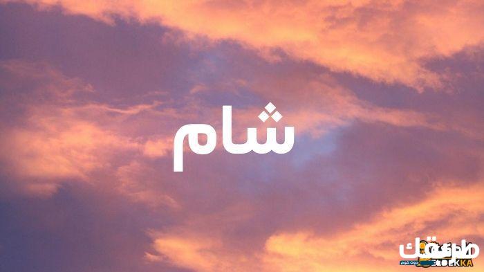 معنى وتفسير اسم شام وحكم تسميته في القرأن 4 معنى وتوضيح وتفسير اسم شام