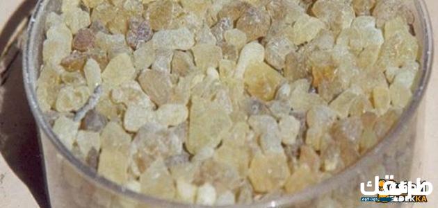 تجربتي مع لبان الدكر للوجه وأهم إستخداماته الأخري 5 تجربتي مع لبان الدكر للوجه