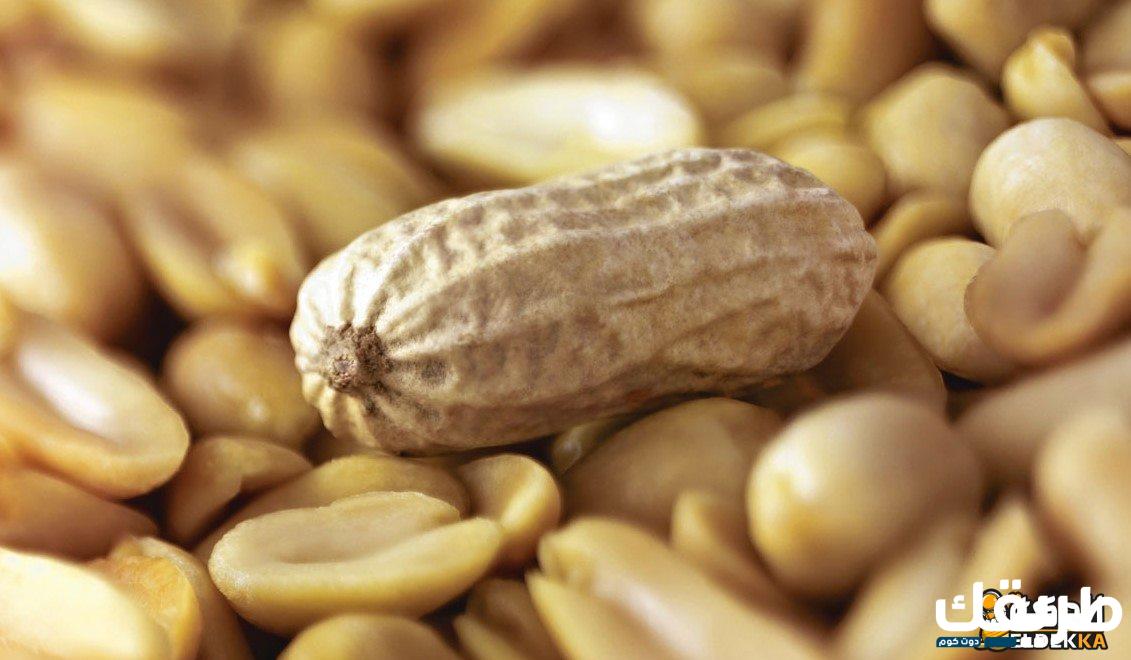 تفسير حلم الفول السوداني للحامل والمتزوجة والعزباء 5 حلم الفول السوداني