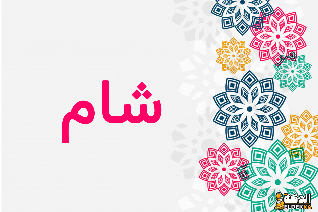 معنى وتوضيح وتفسير اسم شام 6 معنى وتوضيح وتفسير اسم شام