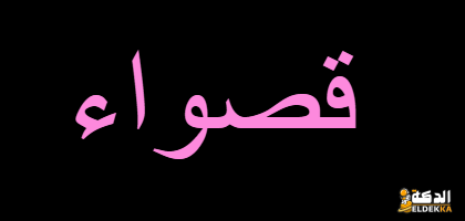 معنى اسم قصواء وصفاتها الشخصية الإيجابية والسلبية 5 معنى اسم قصواء