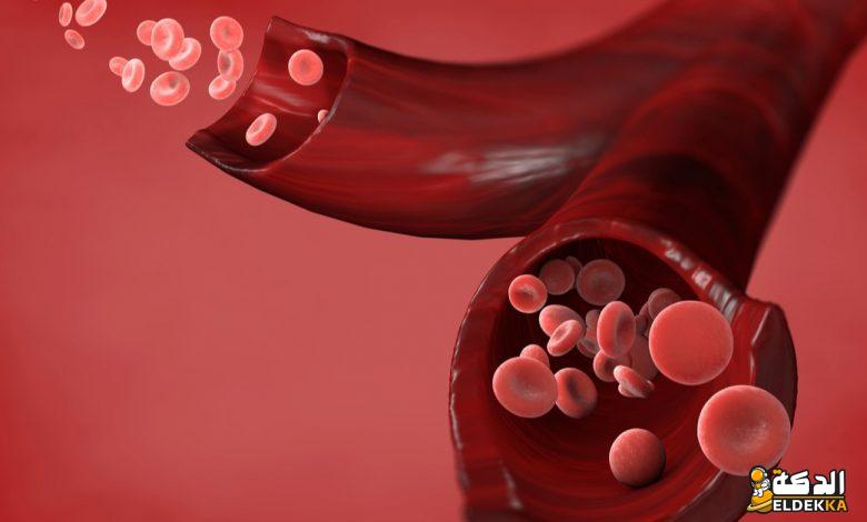 تفسير حلم نزول الدم من الفرج للمتزوجة 6 تفسير حلم نزول الدم من الفرج للمتزوجة