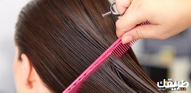 تفسير حلم نزع القمل من الشعر للعزباء 5 تفسير حلم نزع القمل من الشعر للعزباء