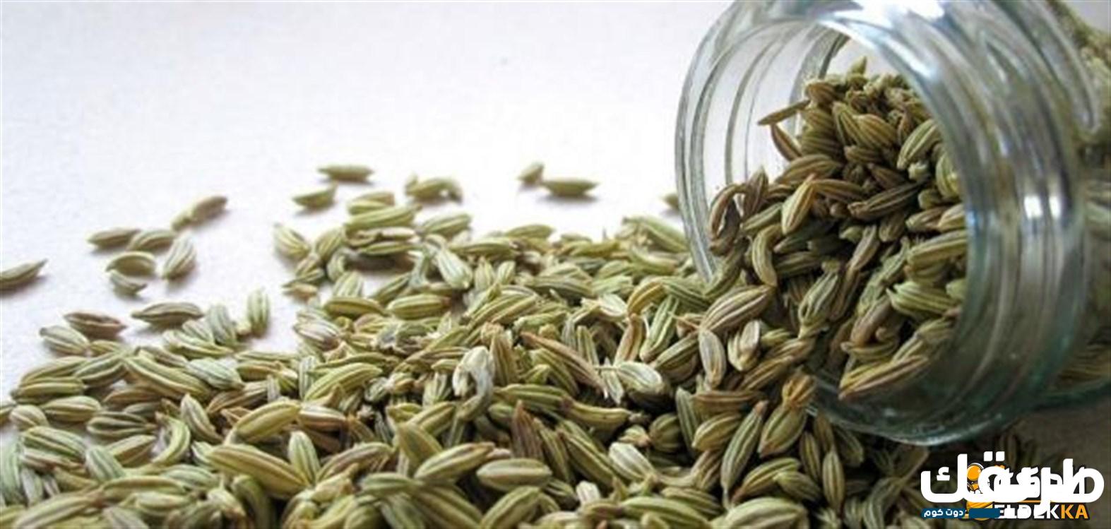 تجربتي مع اضرار الشمر عند الافراط في استخدامه 7 تجربتي مع اضرار الشمر عند الافراط فى استخدامه