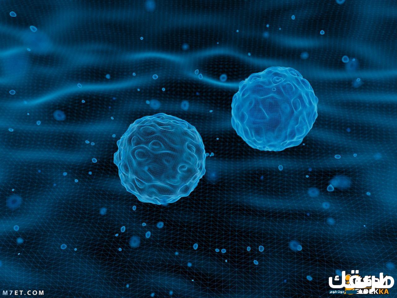 تكلفة العلاج بالخلايا الجذعية: على ماذا تعتمد التكلفة وكيف توفر؟ 4 54324399453291