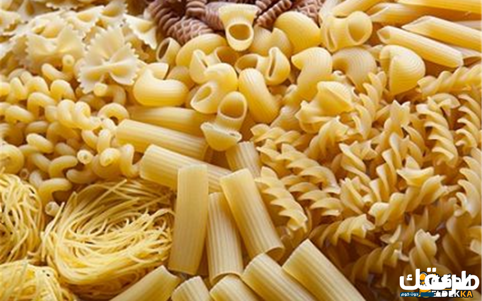 أسماء جميع أنواع المكرونة وما هو النوع الأفضل 6 أسماء جميع أنواع المكرونة