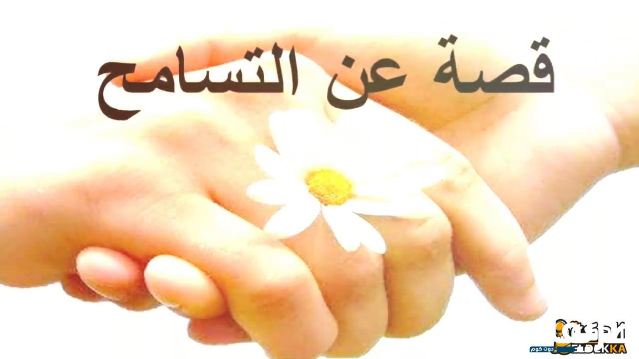 أسئلة عن التسامح والعفو واجوبتها 2024 كيف أغفر لمن آذاني ومن أساء إلي 6 أسئلة عن التسامح والعفو واجوبتها معبرة رووعة!