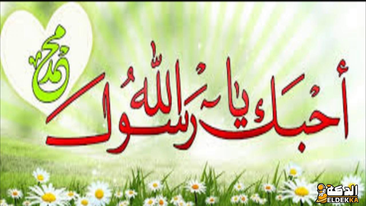 أسئلة عن المولد النبوي واجابتها 2024 لجميع الاعمار! 4 أسئلة عن المولد النبوي واجابتها 2023 لجميع الاعمار!