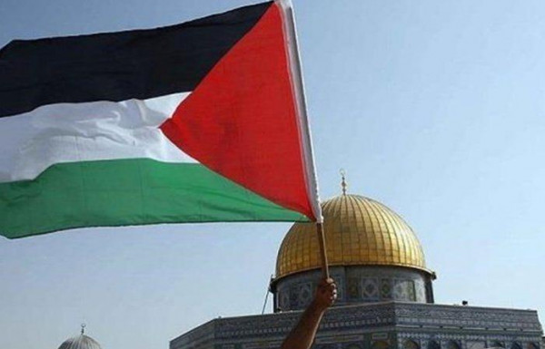 موضوع تعبير عن مدى معاناة الشعب الفلسطيني معبر جدا!