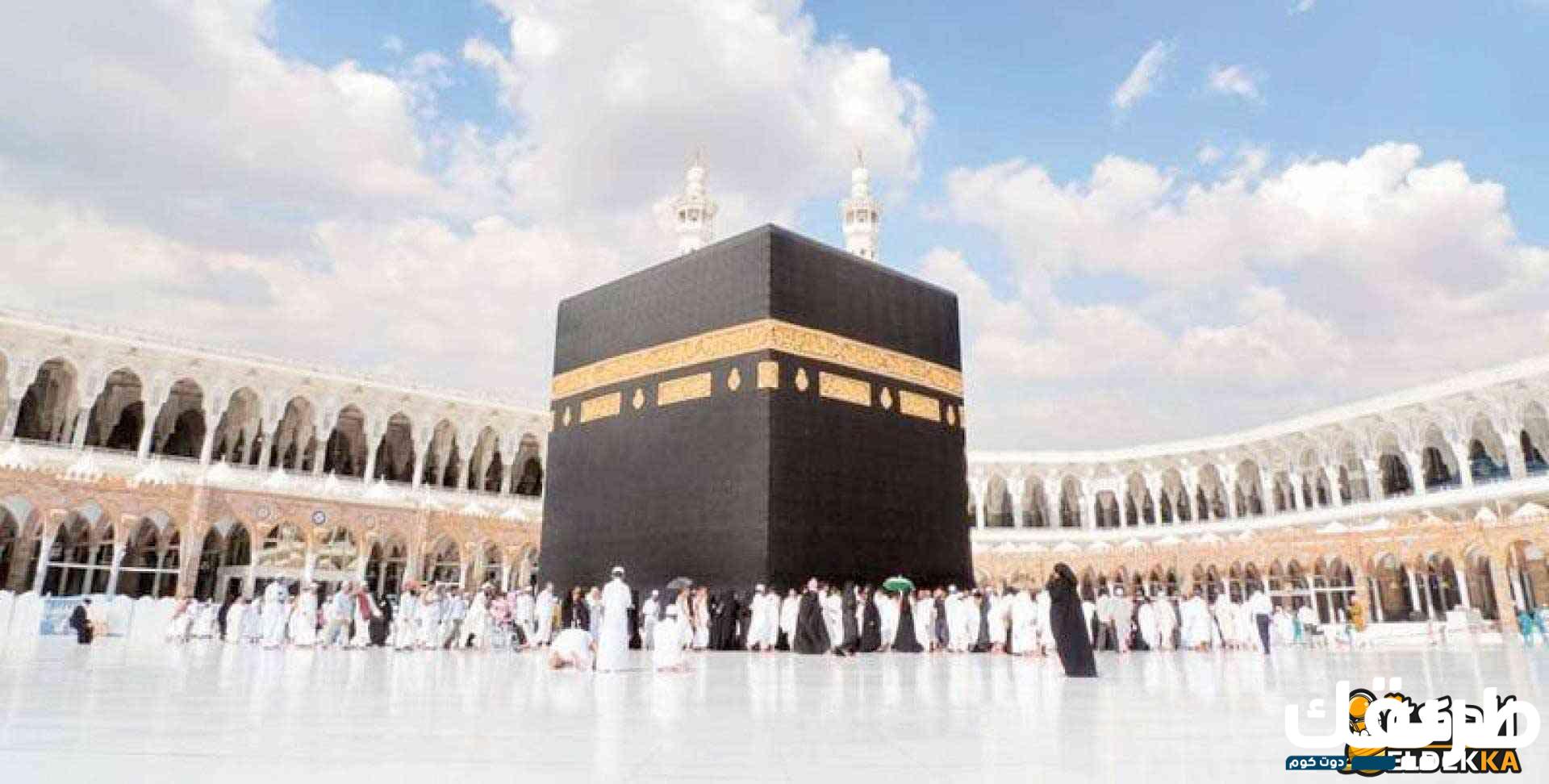 هل الهدي واجب على الحاج؟ 2 هل الهدي واجب على الحاج؟