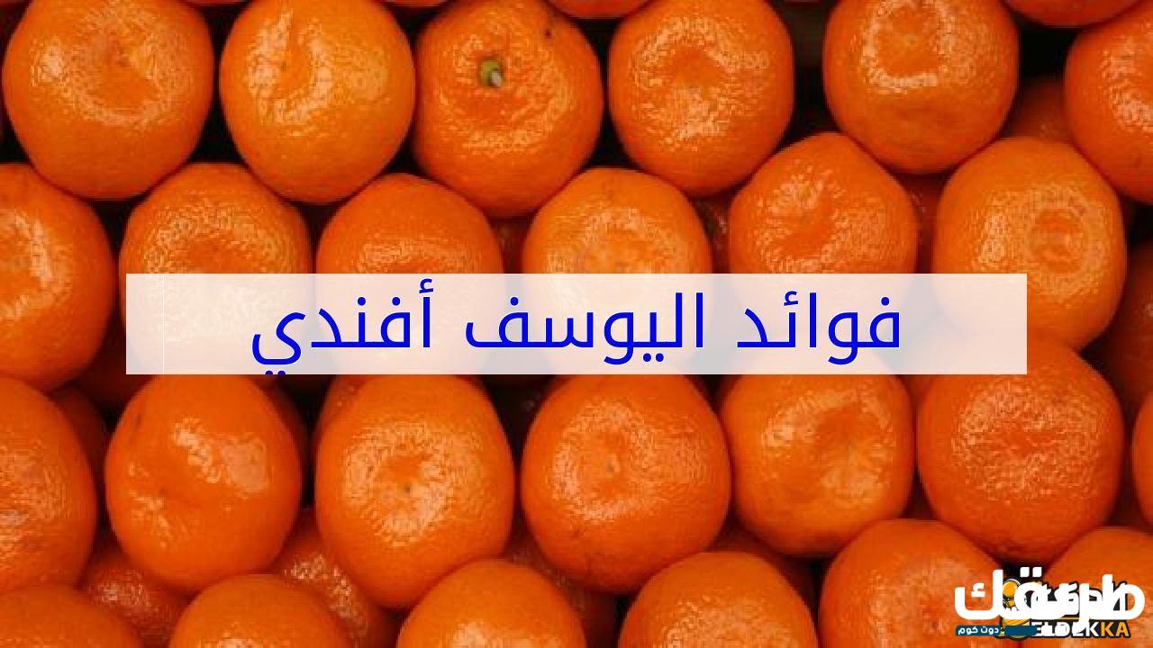 تجربتي مع فوائد اليوسف أفندي على صحة الإنسان 7 تجربتي مع فوائد اليوسف أفندي على صحة الإنسان