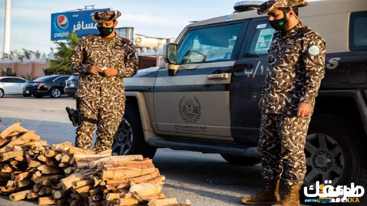 سلم رواتب الامن البيئي 1446 6 سلم رواتب الامن البيئي