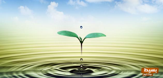 شعر عن الحياة بكلمات قوية ورائعة 6 شعر عن الحياة بكلمات قوية ورائعة