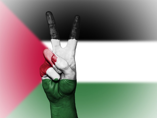 موضوع عن الطفل الفلسطيني