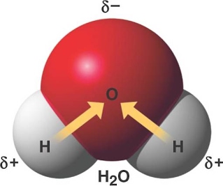 02 13PolarCovalentBonds L