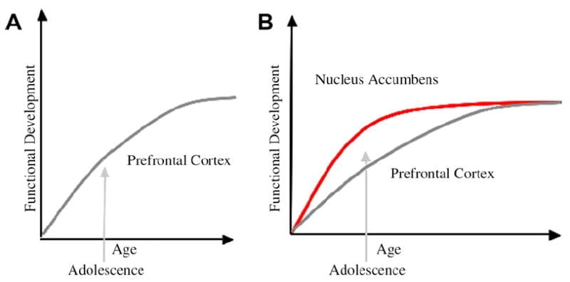 Brain balance between frontal cortex and striatum graph