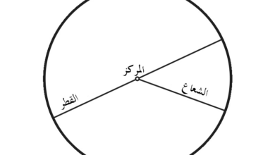 ما هو شعاع الدائرة