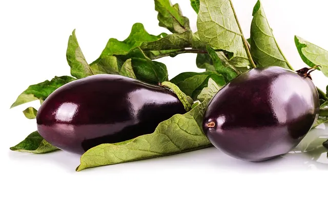 eggplant