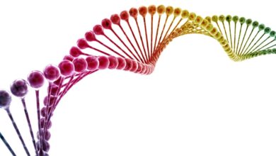 بحث عن dna