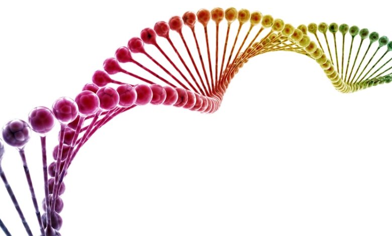 بحث عن dna