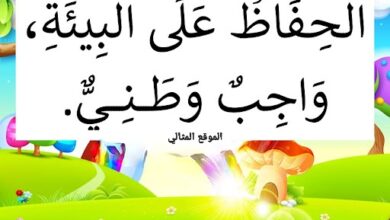 افكار للمحافظة على بيئة وطني