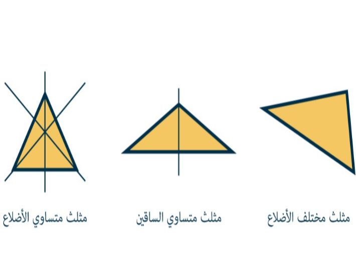 كم خط تماثل للمثلث وما هو خط التماثل 4693