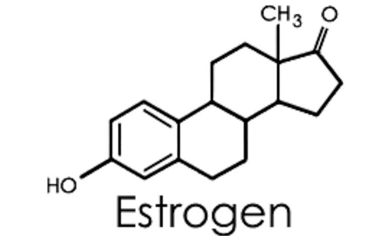 ماهو هرمون الاستروجين