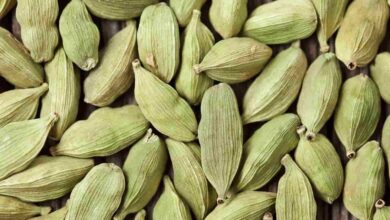 Green Cardamom e1663583873837