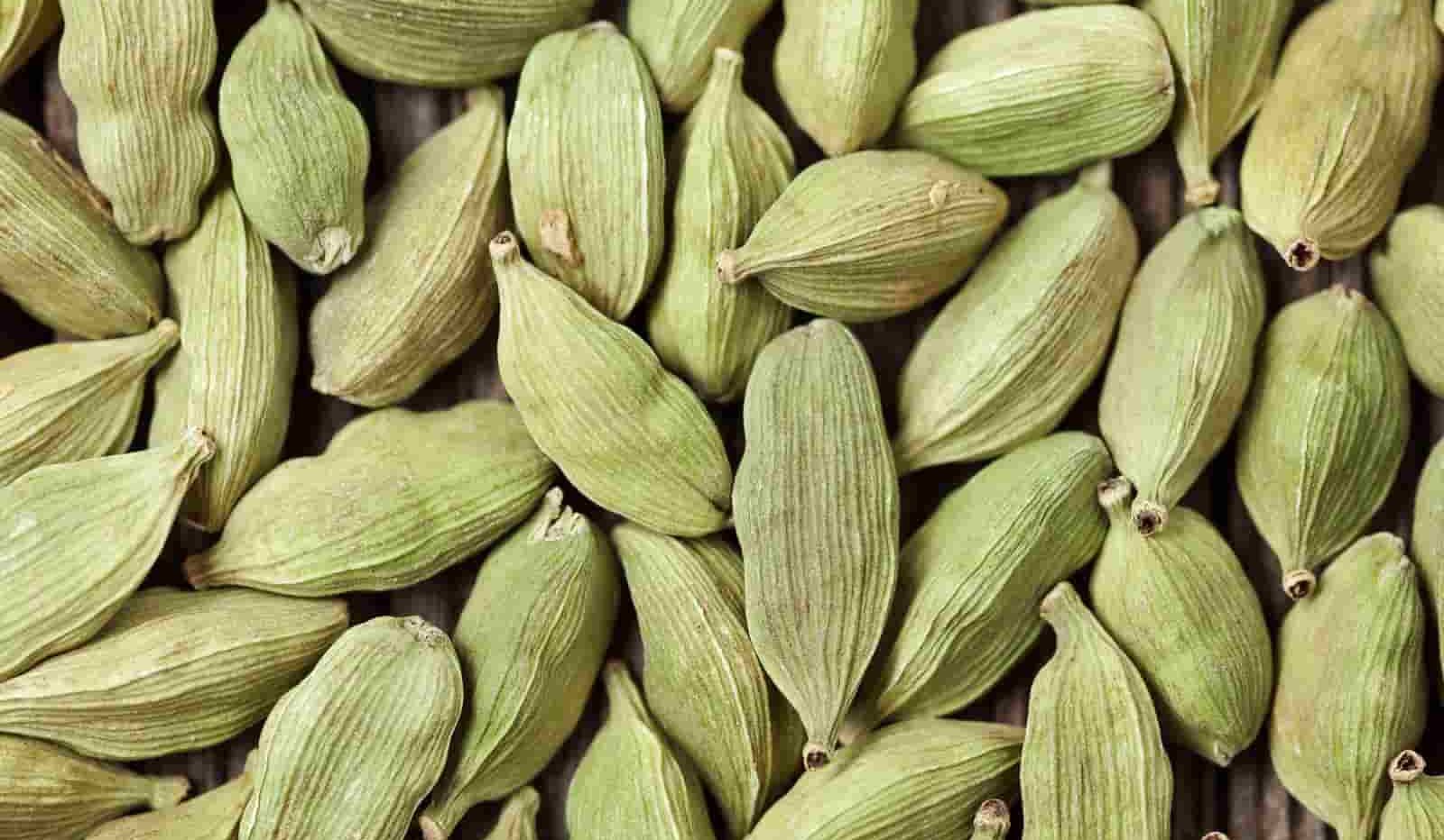 Green Cardamom e1663583873837