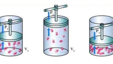 search about 4 gass laws