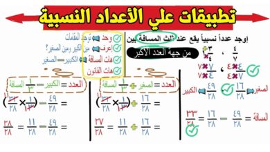 الأعداد النسبية