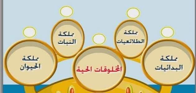 الصفة التي لا تنطبق على نظام أرسطو في التصنيف هي