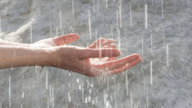 كلمات عن المطر مميزة 2024 7 كلمات عن المطر