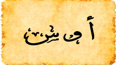 معنى اسم أوس وخصاله وحكم تسميته 5 معنى اسم أوس وخصاله وحكم تسميته