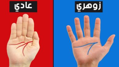 أشهر صفات الإنسان الزهري مع الصور 7 أشهر صفات الإنسان الزهري مع الصور