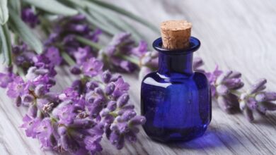 استخدمي زيت اللافندر لشعر ناعم ولامع في العيد 6 استخدمي زيت اللافندر لشعر ناعم ولامع في العيد