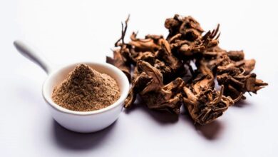 القسط الهندي للغده … طريقة استخدامه لعلاج الغدة الدرقية 3 القسط الهندي للغده … طريقة استخدامه لعلاج الغدة الدرقية