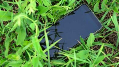 تفسير حلم ضياع الجوال ومختلف تأويلاته 6 تفسير حلم ضياع الجوال ومختلف تأويلاته