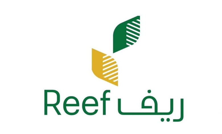 الشروط المطلوبة للحصول على دعم ريف للنساء 1445 وكيفية التقديم 1 بالخطوات والشروط المطلوبة للحصول على دعم ريف للنساء 1445 وكيفية التقديم في البرنامج