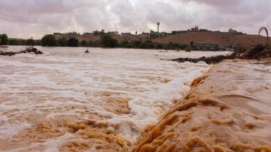 رؤية السيل في المنام لابن والنابلسي 7 رؤية السيل في المنام