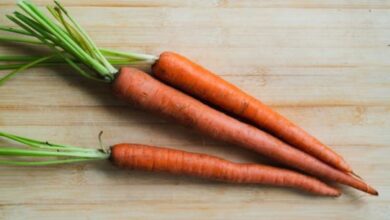 رؤية شراء الجزر للمرأة المتزوجة في المنام 6 رؤية شراء الجزر للمرأة المتزوجة في المنام