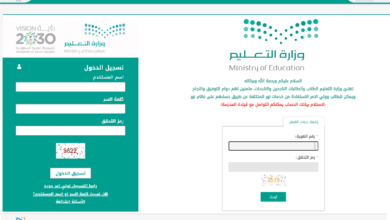 كيفية رصد درجات نور بصورة سريعة 1445 1 كيفية رصد درجات نور بصورة سريعة 1445