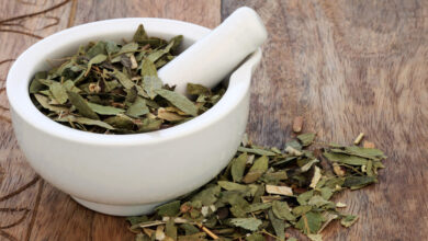 ما هو السنامكي (استخداماته + فوائده + اضراره) 32 ما هو السنامكي (استخداماته + فوائده + اضراره)