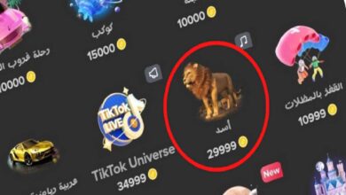 ما هو سعر الأسد على التيك توك؟ 4 ما هو سعر الأسد على التيك توك؟