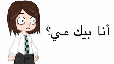 ما هو معنى بيك مي وبيك مي جيرل؟ 3 ما هو معنى بيك مي وبيك مي جيرل؟