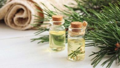 ما هي فوائد زيت الصنوبر للبشرة وكيفية استخدامه؟ 4 ما هي فوائد زيت الصنوبر للبشرة