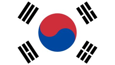 من هي زوجة رئيس كوريا الجنوبية ويكيبيديا 26 الحياة العملية لزوجة رئيس كوريا الجنوبية